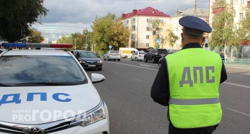 В Челябинской области поймали браконьера с арсеналом и тушами диких животных