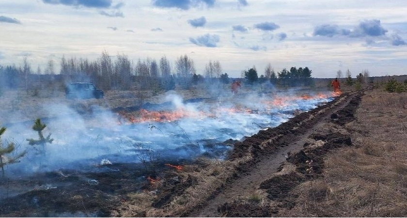 В лесном массиве под Челябинском произошел крупный пожар