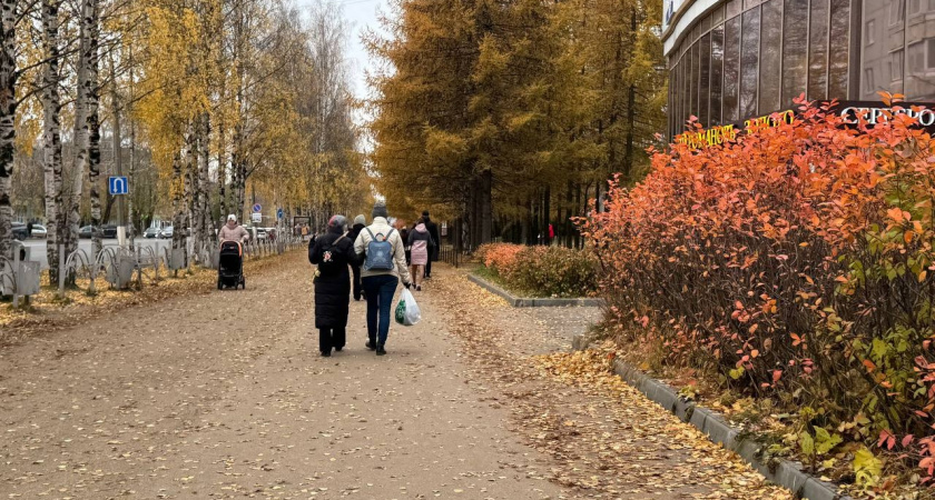 Закон приняли без лишнего шума. Голикова обозначила новый неожиданный размер пенсии россиянам 