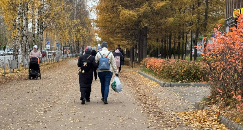 В ноябре кошельки будут ломиться от денег: Глоба назвала два знака, карманы которых украсит золото