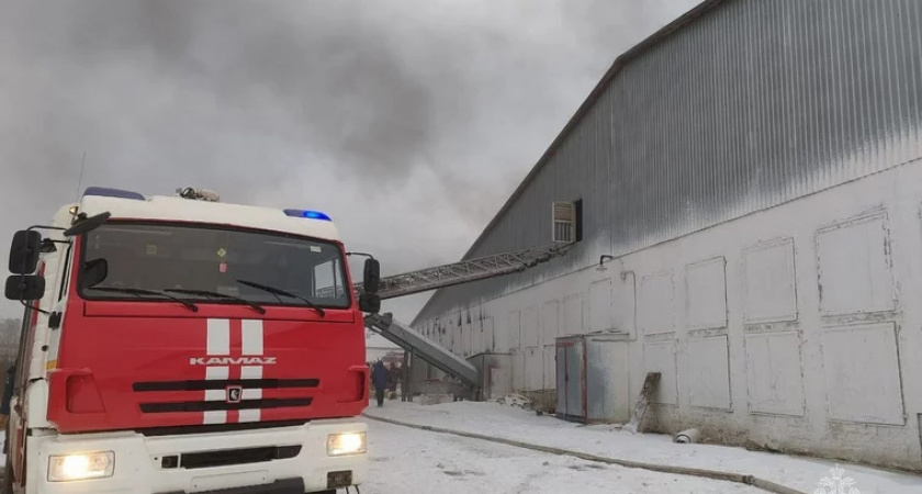 Пожар на птицефабрике в Челябинске: бывшего вице-губернатора Косилова снова постигла беда