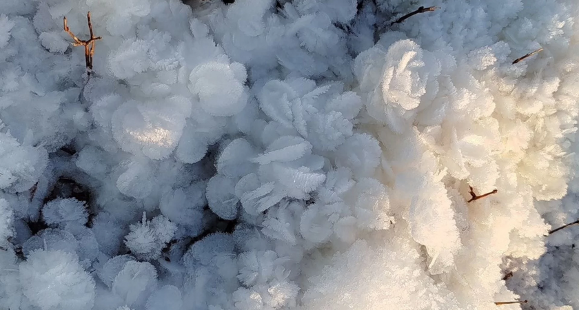 На Южном Урале распустились ледяные розы: редкое погодное явление захватило жителей