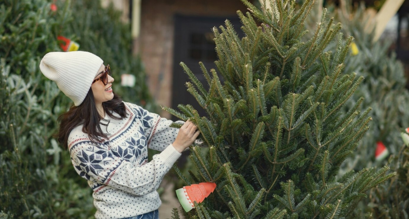 Мэр Челябинска призвал жестче бороться с нелегальными елочными базарами