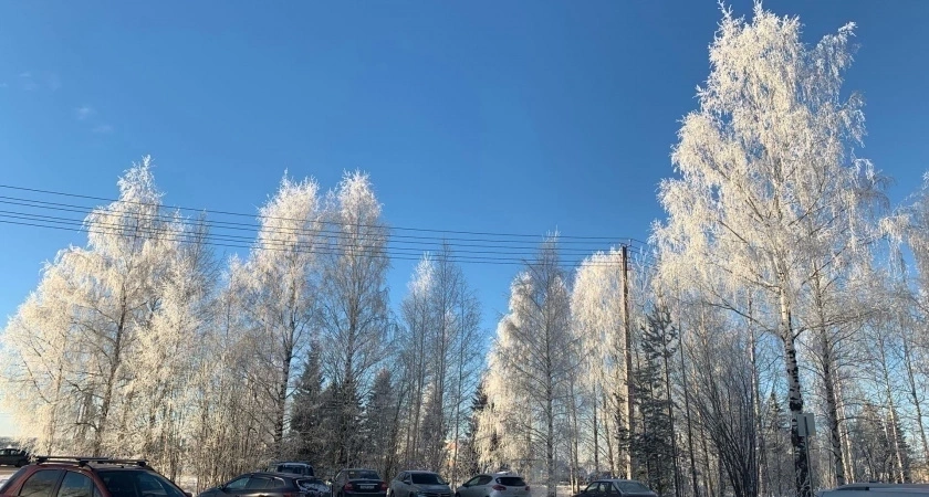 «Кошмар перед Рождеством». Синоптики поделились пугающим прогнозом на новогодние праздники