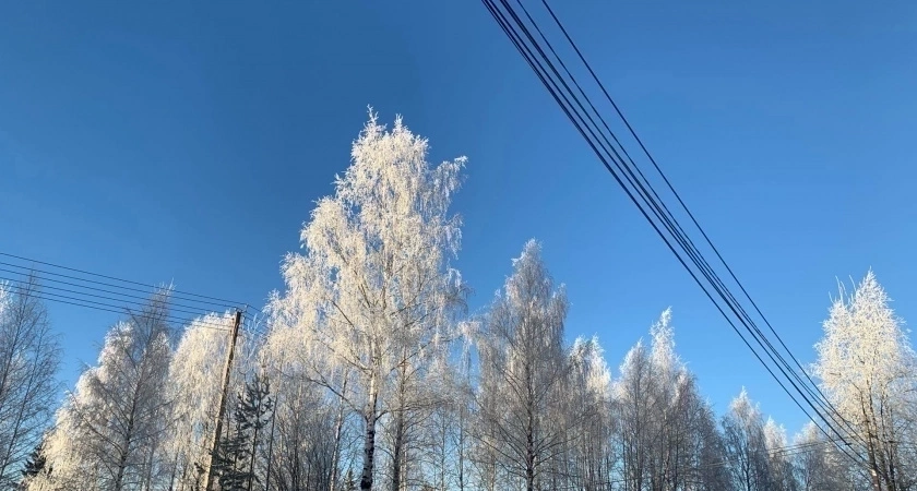 «Кошмар перед Рождеством». Синоптики дали пугающий прогноз на новогодние праздники