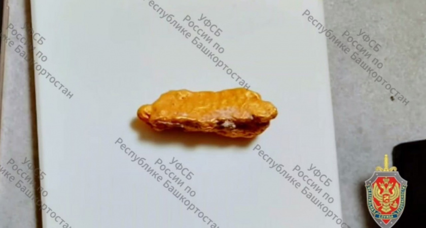 В Башкирии задержали жителя Челябинской области за незаконную добычу золота на 14 миллионов рублей