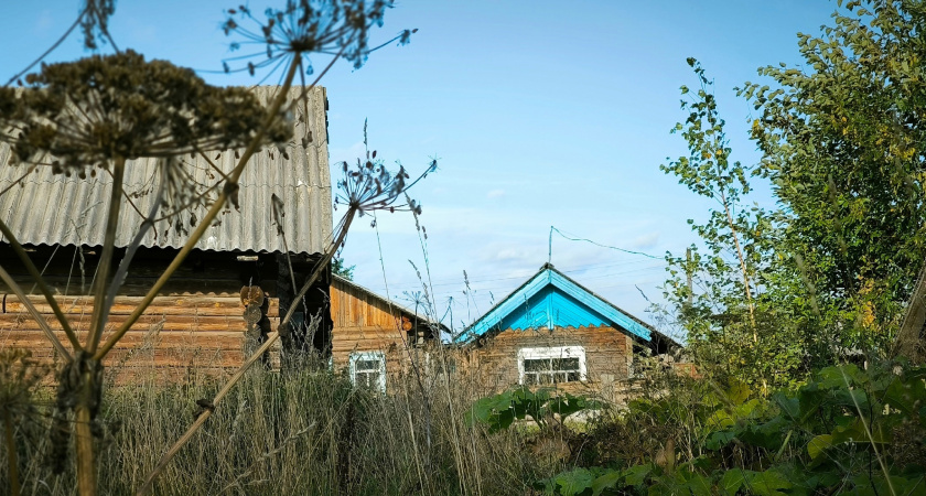 После вмешательства генерального прокурора семье в Челябинской области выделили земельный участок для строительства дома