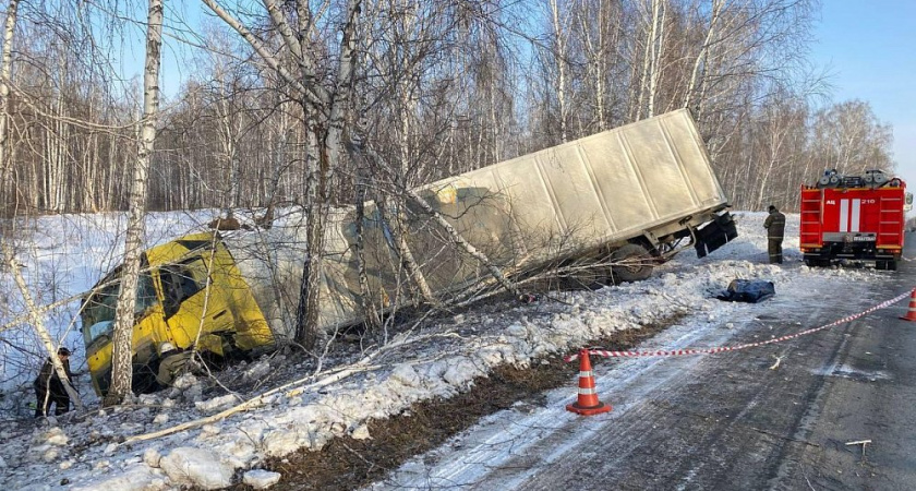 Под Челябинском водитель большегруза влетел в в дерево и погиб