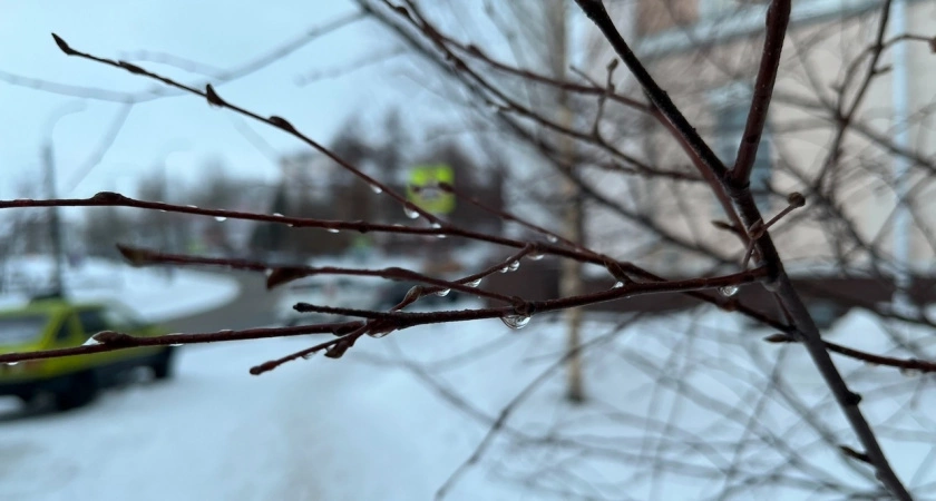 Февраль начнется с плюсовой температуры: погода в Челябинской области