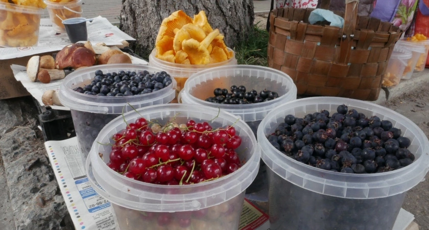 Эта ягода — самая вредная: а мы покупаем ее как лакомство, еще и детям даем