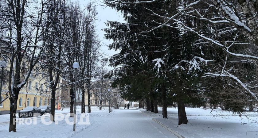 Погода Челябинской области: в регионе ожидается туман и изморозь