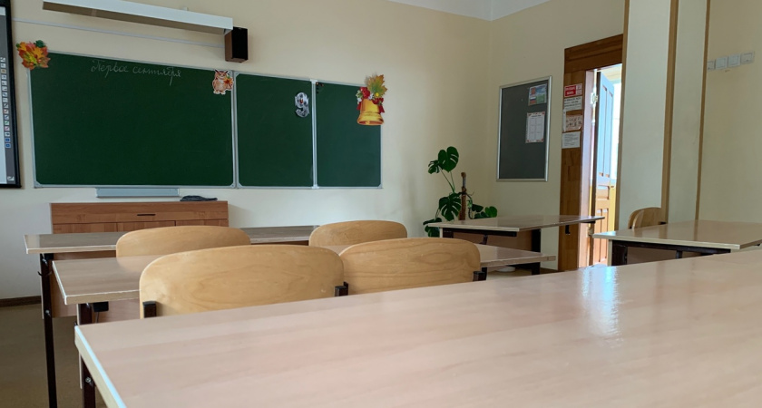 В Челябинской области на фоне вспышки ОРВИ и гриппа более 800 классов переведены на дистанционное обучение