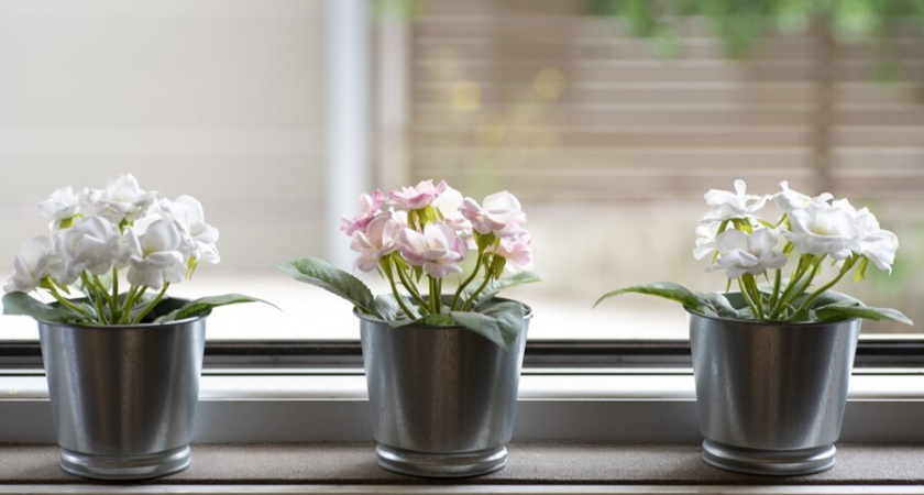 Домашние вампиры: 6 вещей в доме, которые крадут ваше здоровье день за днем