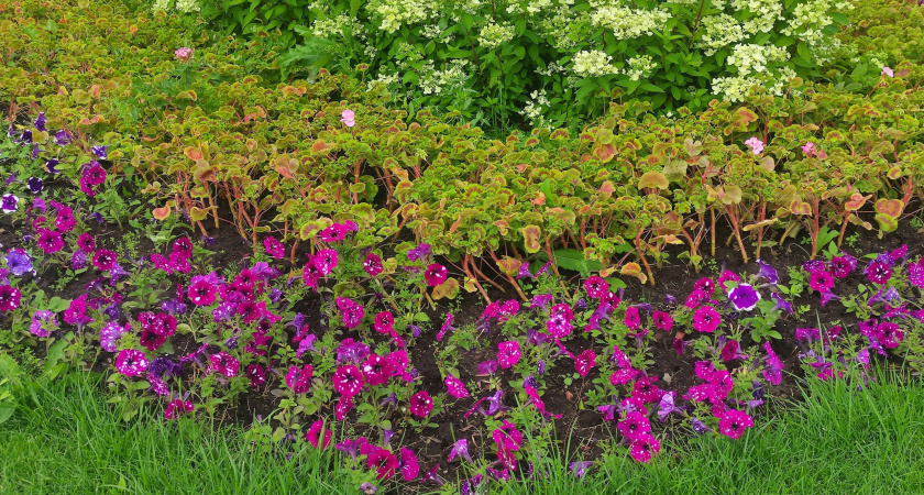 Челябинск преобразит территории снесённых нелегальных киосков и стоянок