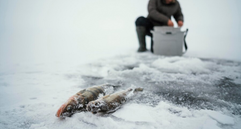 Объявили о новых запретах для рыбаков с 20 февраля