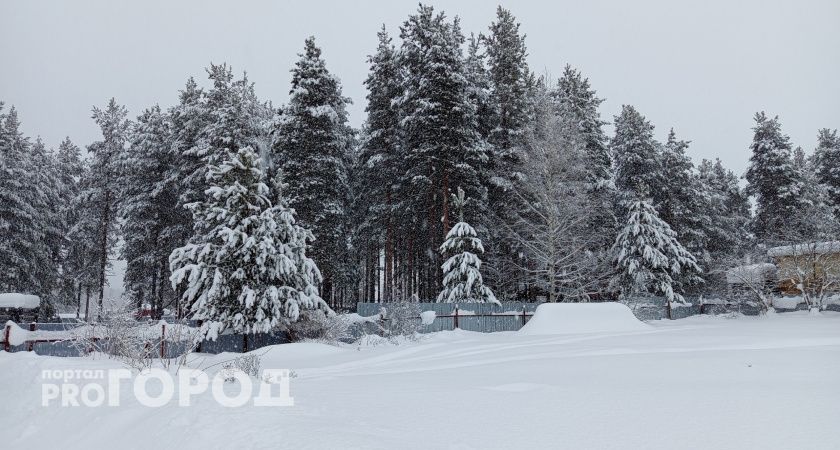 Прогноз погоды в Челябинской области: 2 марта в регион возвращаются сильные морозы