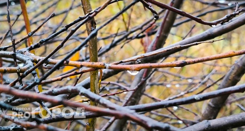 Прогноз погоды в Челябинской области на майские праздники: шашлыки на природе придется перенести