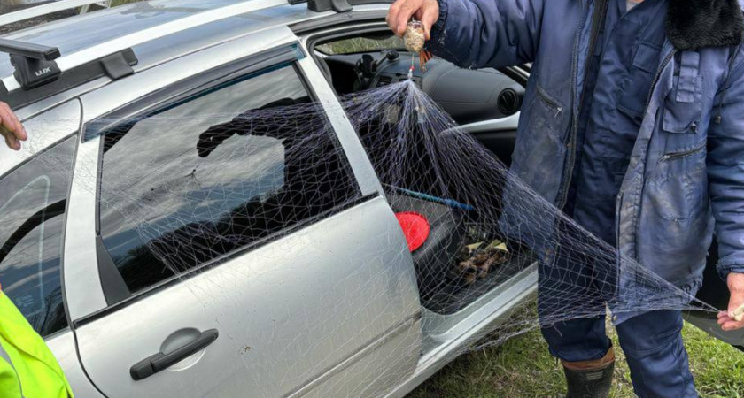 В Челябинской области полицейские пресекли незаконную ловлю рыбы