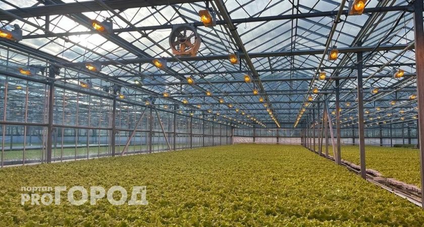 Ученые Челябинской области разрабатывают технологию озеленения пустынь