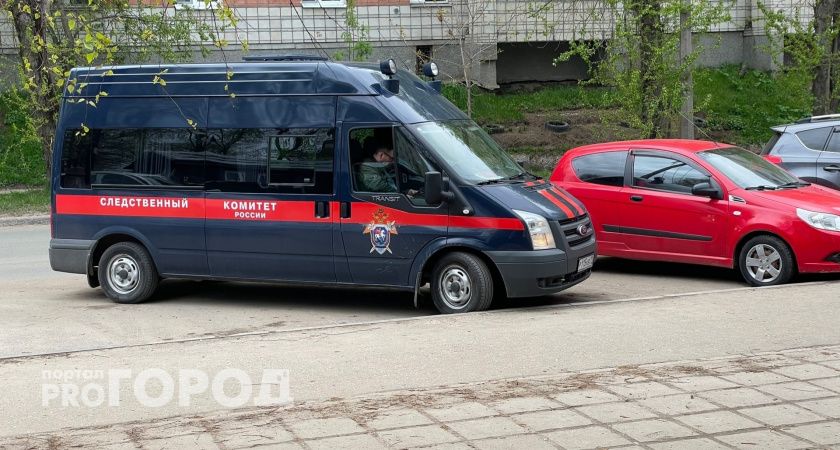 Бастрыкин потребовал доклад о товаре 18+ в челябинском магазине детских книг