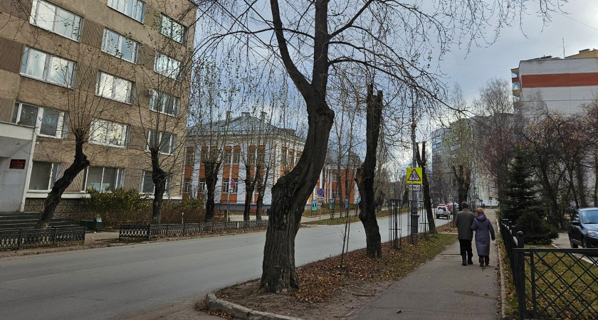 И работающим, и неработающим. Новая приятная льгота для всех пенсионеров – можно оформлять