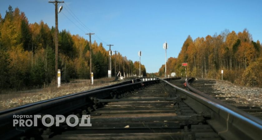 В Челябинской области поезд сбил женщину