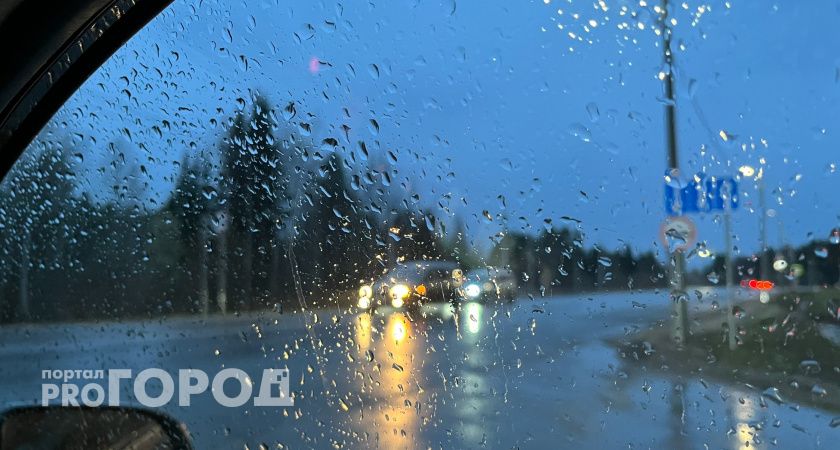 Ночные заморозки и дождь: синоптики рассказали о погоде в Челябинской области на 14 мая