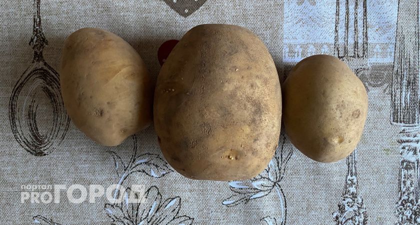 Челябинцев приглашают помочь нуждающимся через посадку картофеля