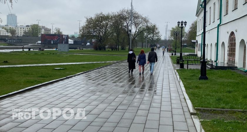 Челябинская область: юг заливает дождями, север страдает от засухи