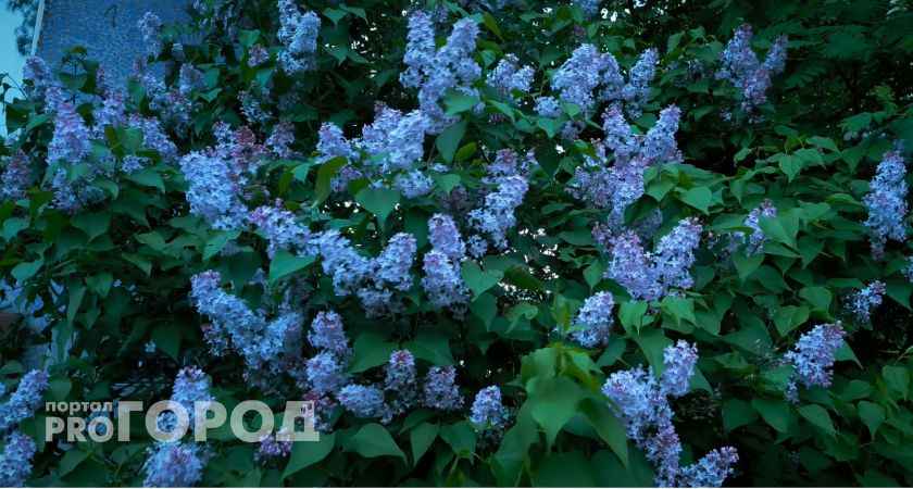 Двойной циклон обрушится на Челябинскую область: ожидаются дожди и штормовой ветер до 18 м/с