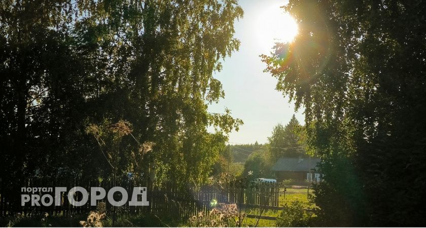 Летнее тепло накроет Челябинскую область 27 мая