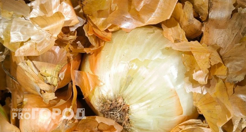 В Челябинской области развернули крупную партию лука
