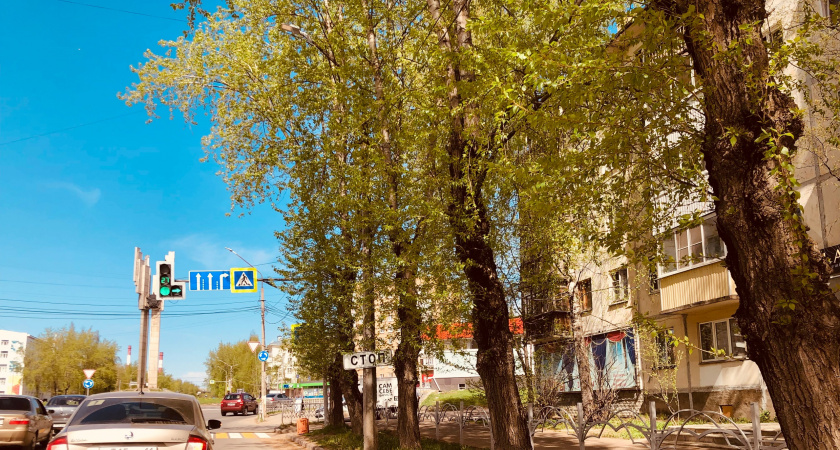"Нас ждут 4 месяца лета": Вильфанд предупреждает об обильных осадках и аномальной жаре в ряде регионов