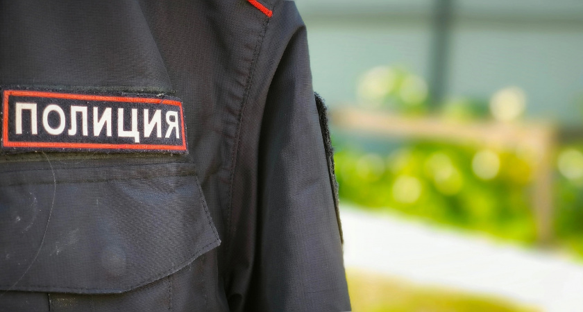 В Челябинской области жительница Екатеринбурга сделала 52 наркозакладки, выгуливая собак