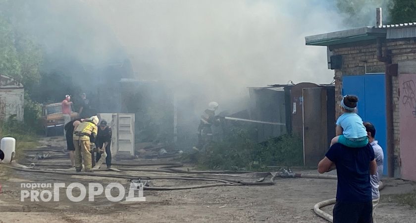 В Челябинске усилят борьбу с тополиным пухом из-за участившихся пожаров
