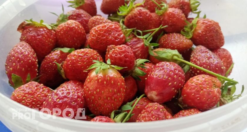 В Челябинской области стартовал сезон лесной земляники