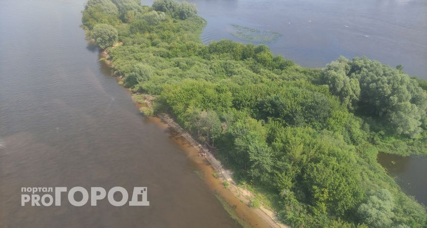 В Челябинске на реке Миасс в ближайшие дни могут появиться зеленые "островки"