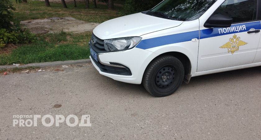 Шокирующая жестокость в Челябинской области: подростки распяли собаку и убивали других животных