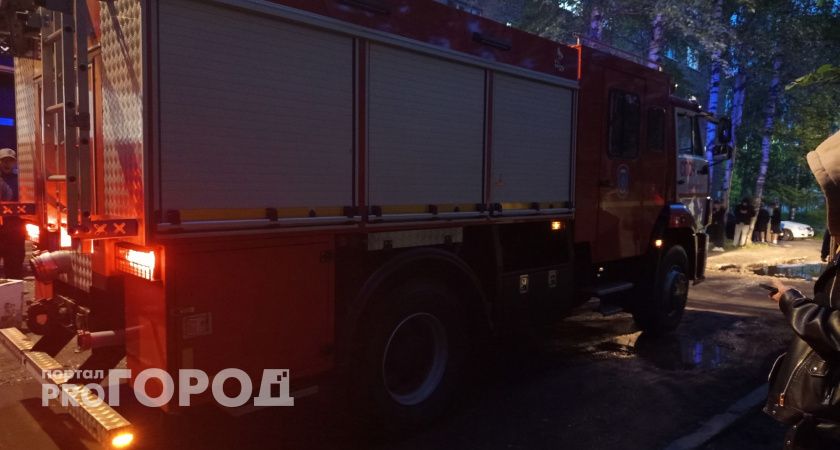 С начала первого летнего месяца челябинские спасатели 280 раз реагировали на вызовы, связанные с горением тополиного пуха