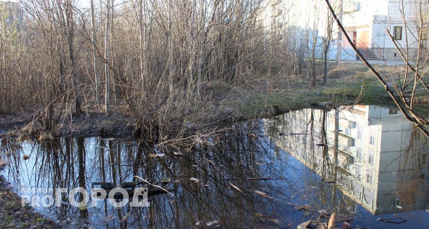 В Челябинской области нелегальная свалка перекрыла водопровод