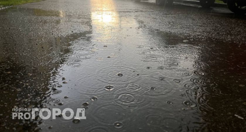 Дожди и +25 градусов: синоптики рассказали о погоде в Челябинской области на 30 июня