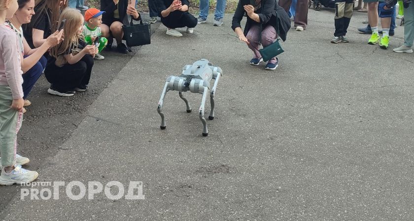  Челябинская область покажет лидерство в робототехнике на "Иннопроме"