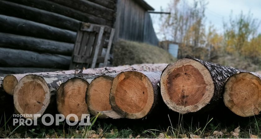 В Челябинской области пресекли канал контрабанды лесоматериалов