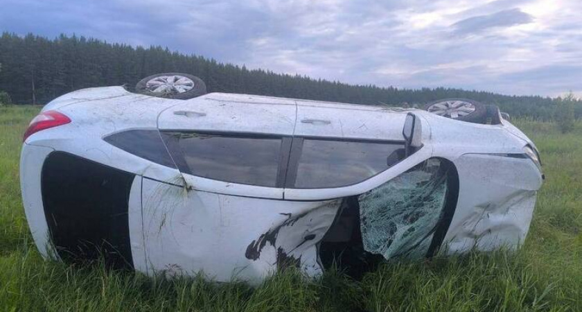 В Челябинской области "Лада" сбила лося и разбилась