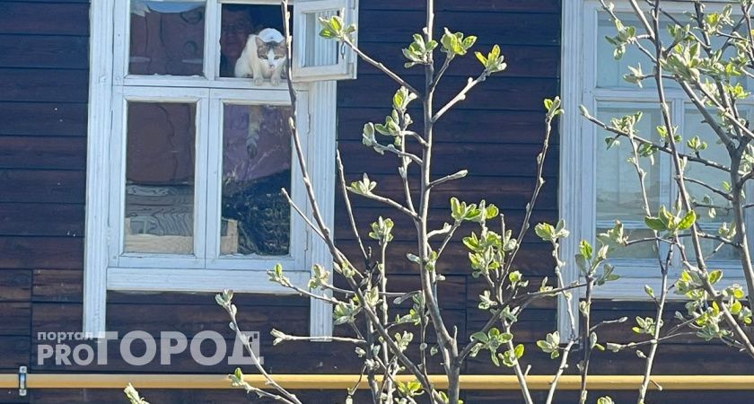 В Челябинской области рынок индивидуального строительства продолжает расти, несмотря на снижение ипотеки