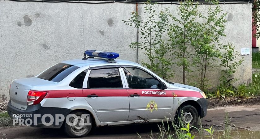 На Южном Урале пьяный дебошир поплатился за мат в ТРЦ и оскорбление росгвардейца