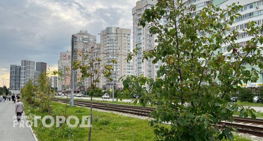 Благодаря "Госуслуги. Решаем вместе" в Челябинской области благоустроят 139 территорий, выбранных жителями