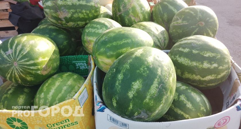В Челябинской области задержали 60 тонн арбузов и дынь из Казахстана из-за ошибок в документах