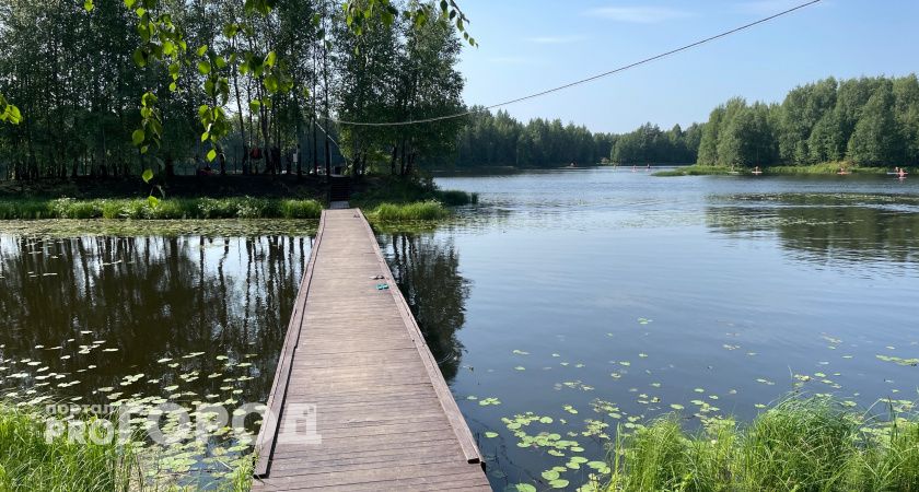 В Челябинской области 5 августа ожидается аномально жаркая погода