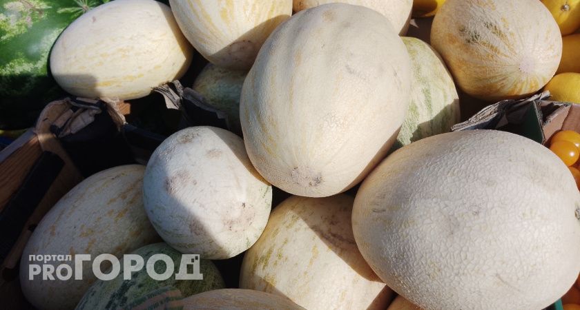 20 тонн дынь из Казахстана не пустили в Челябинскую область